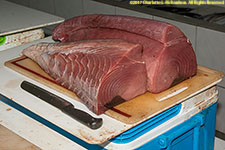 tuna steaks
